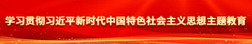 美女艹艹aaaa学习贯彻习近平新时代中国特色社会主义思想主题教育